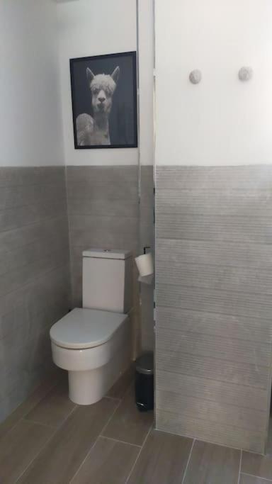 Apartamento Laurana Santander Exteriér fotografie